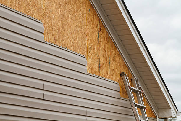 Professional Vinyl Siding technician working in Luke, MD